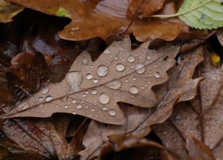 Managing Security Risks During Heavy Rain